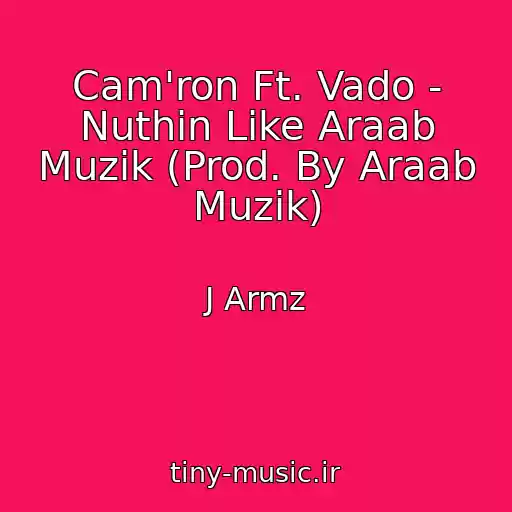 کاور آهنگ Cam'ron Ft. Vado - Nuthin Like Araab Muzik (Prod. By Araab Muzik) از J Armz
