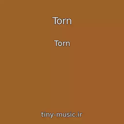 کاور آهنگ Torn از Torn