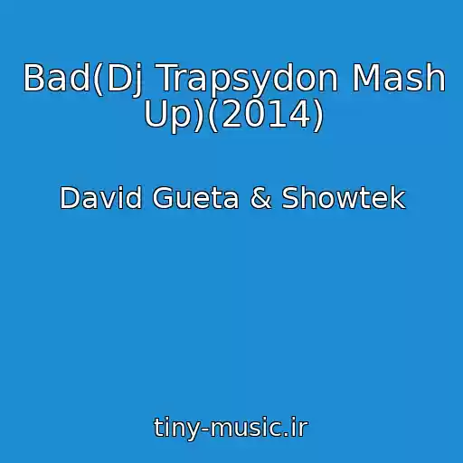 کاور آهنگ Bad(Dj Trapsydon Mash Up)(2014) از David Gueta & Showtek