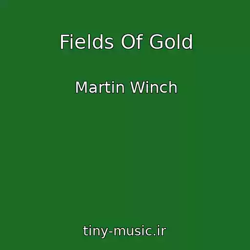 کاور آهنگ Fields Of Gold از Martin Winch