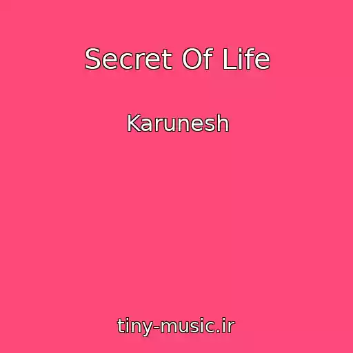 کاور آهنگ Secret Of Life از Karunesh