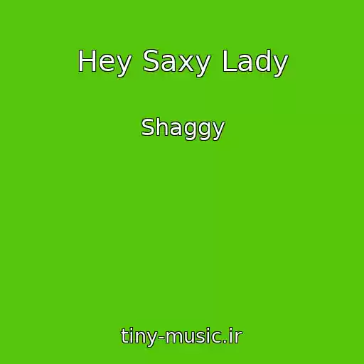 کاور آهنگ Hey Saxy Lady از Shaggy