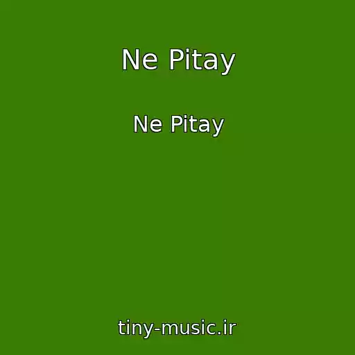 کاور آهنگ Ne Pitay از Ne Pitay