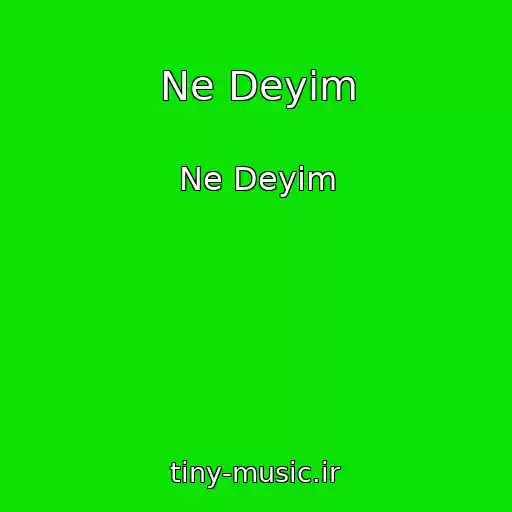 کاور آهنگ Ne Deyim از Ne Deyim