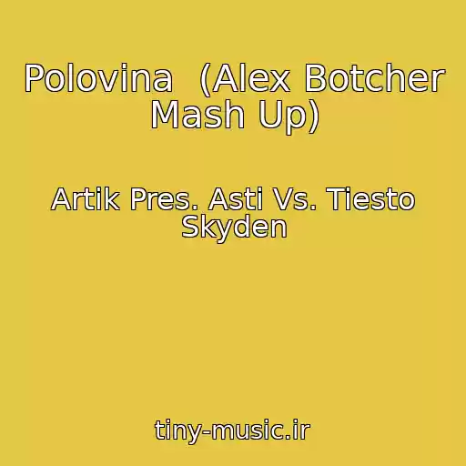 کاور آهنگ Polovina  (Alex Botcher Mash Up) از Artik Pres. Asti Vs. Tiesto Skyden