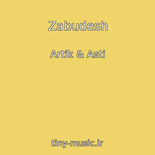کاور آهنگ Zabudesh از Artik & Asti