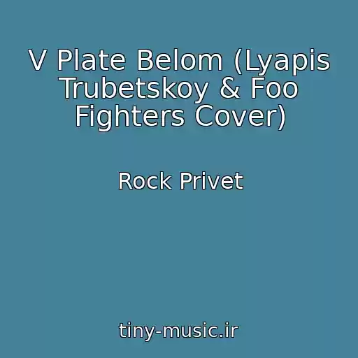 کاور آهنگ V Plate Belom (Lyapis Trubetskoy & Foo Fighters Cover) از Rock Privet