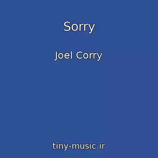 کاور آهنگ Sorry از Joel Corry