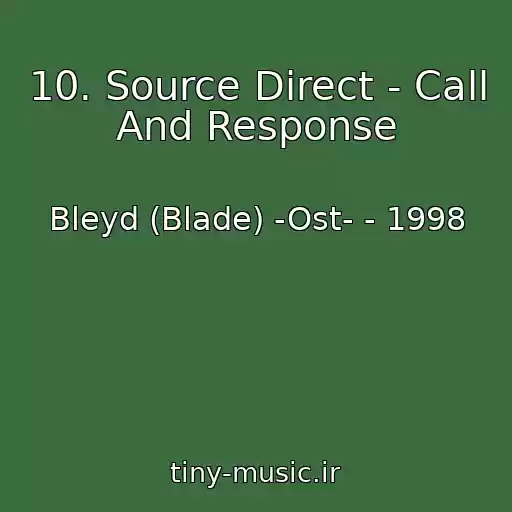 کاور آهنگ 10. Source Direct - Call And Response از Bleyd (Blade) -Ost- - 1998