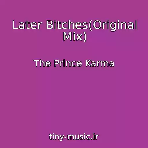 کاور آهنگ Later Bitches(Original Mix) از The Prince Karma