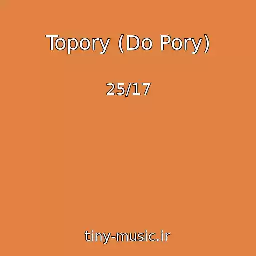 کاور آهنگ Topory (Do Pory) از 25/17