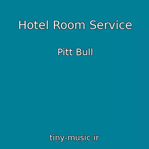 کاور آهنگ Hotel Room Service از Pitt Bull