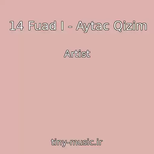 کاور آهنگ 14 Fuad I - Aytac Qizim از Artist