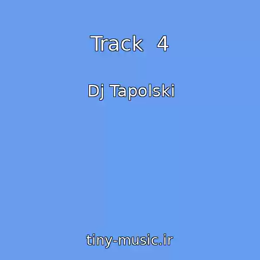 کاور آهنگ Track  4 از Dj Tapolski