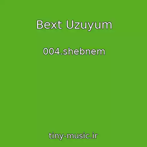 کاور آهنگ Bext Uzuyum از 004.shebnem