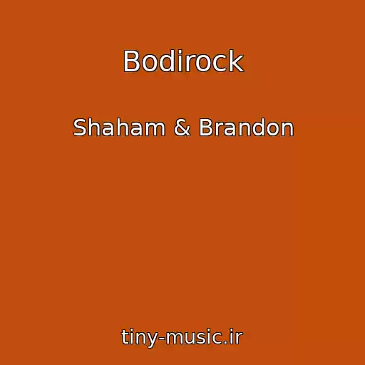 کاور آهنگ Bodirock از Shaham & Brandon