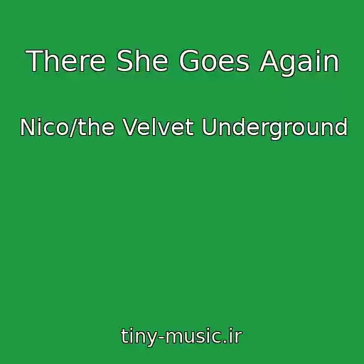 کاور آهنگ There She Goes Again از Nico/the Velvet Underground