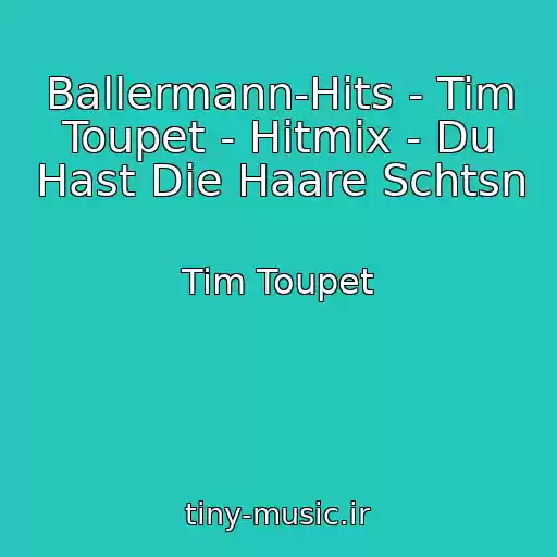 کاور آهنگ Ballermann-Hits - Tim Toupet - Hitmix - Du Hast Die Haare Schtsn از Tim Toupet