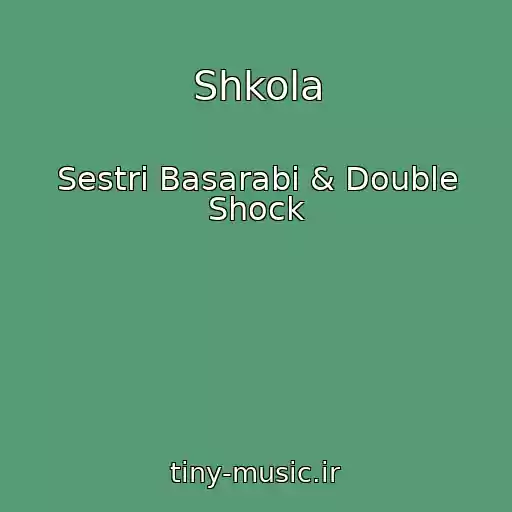 کاور آهنگ Shkola از Sestri Basarabi & Double Shock