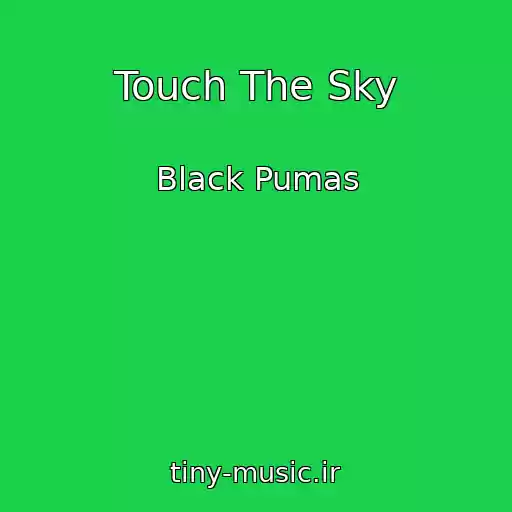 کاور آهنگ Touch The Sky از Black Pumas