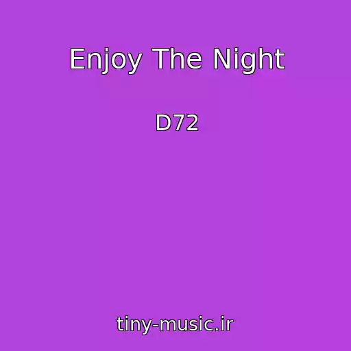 کاور آهنگ Enjoy The Night از D72