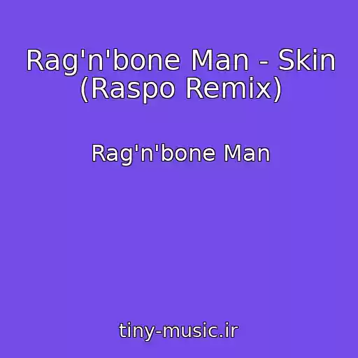کاور آهنگ Rag'n'bone Man - Skin (Raspo Remix) از Rag'n'bone Man