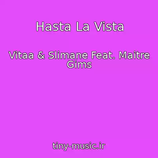 کاور آهنگ Hasta La Vista از Vitaa & Slimane Feat. Maitre Gims