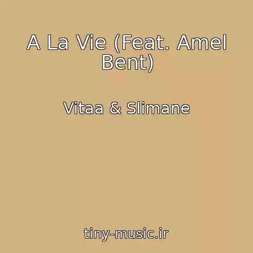 کاور آهنگ A La Vie (Feat. Amel Bent) از Vitaa & Slimane