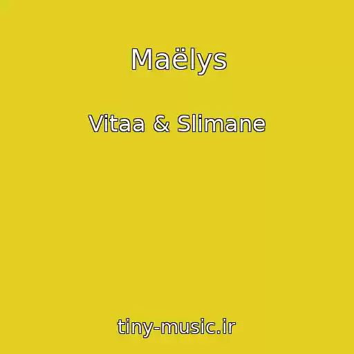 کاور آهنگ Maëlys از Vitaa & Slimane