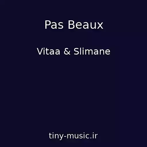کاور آهنگ Pas Beaux از Vitaa & Slimane