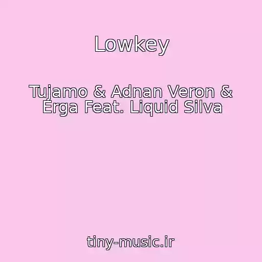کاور آهنگ Lowkey از Tujamo & Adnan Veron & Erga Feat. Liquid Silva