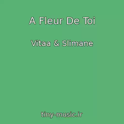 کاور آهنگ A Fleur De Toi از Vitaa & Slimane