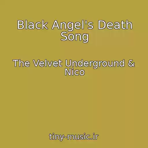 کاور آهنگ Black Angel's Death Song از The Velvet Underground & Nico