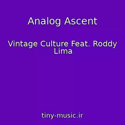 کاور آهنگ Analog Ascent از Vintage Culture Feat. Roddy Lima