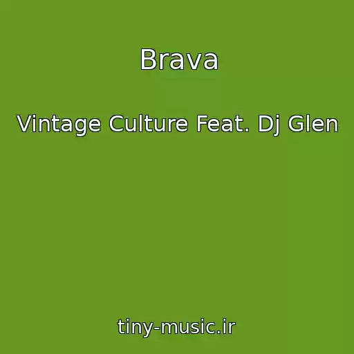 کاور آهنگ Brava از Vintage Culture Feat. Dj Glen