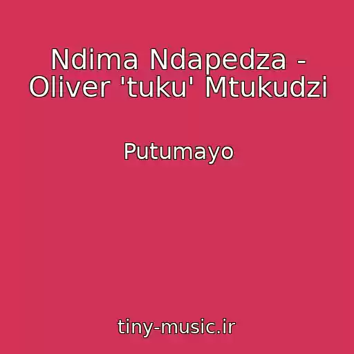کاور آهنگ Ndima Ndapedza - Oliver 'tuku' Mtukudzi از Putumayo