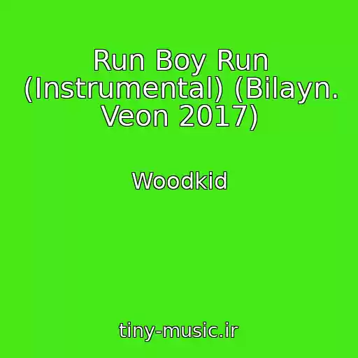 کاور آهنگ Run Boy Run (Instrumental) (Bilayn. Veon 2017) از Woodkid