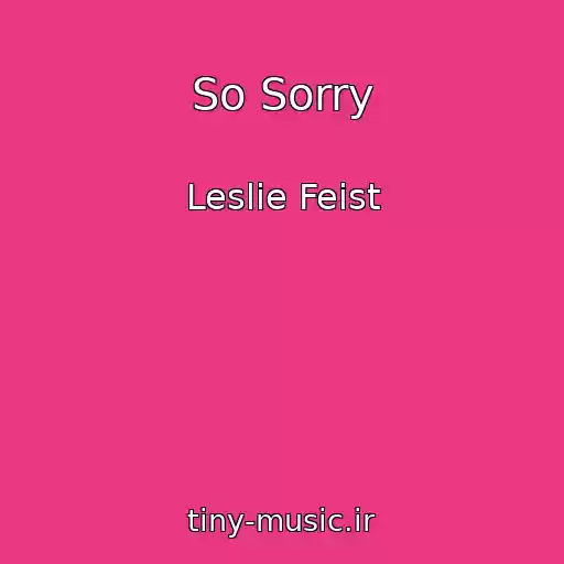 کاور آهنگ So Sorry از Leslie Feist