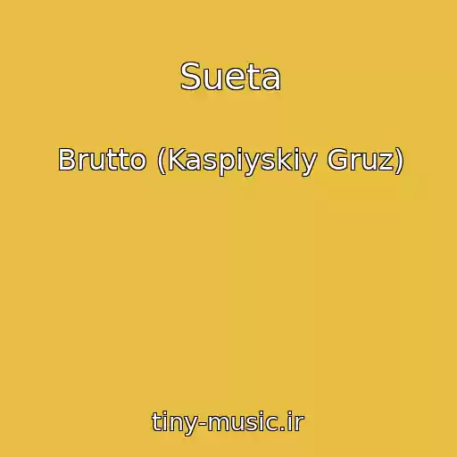 کاور آهنگ Sueta از Brutto (Kaspiyskiy Gruz)