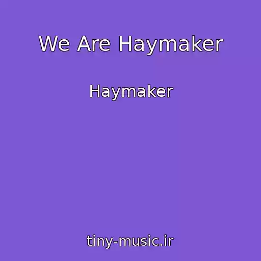 کاور آهنگ We Are Haymaker از Haymaker
