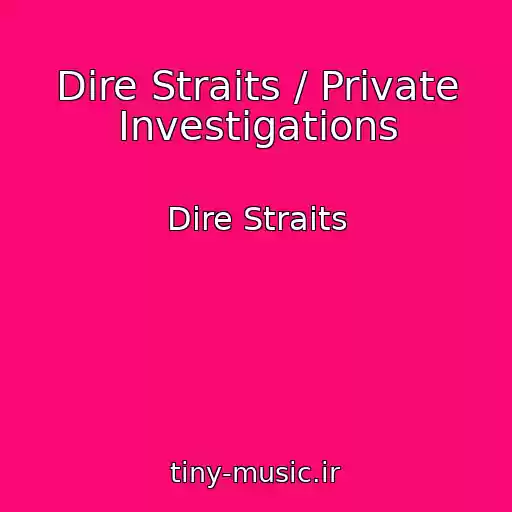 کاور آهنگ Dire Straits / Private Investigations از Dire Straits
