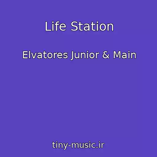 کاور آهنگ Life Station از Elvatores Junior & Main