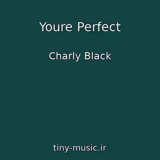 کاور آهنگ Youre Perfect از Charly Black