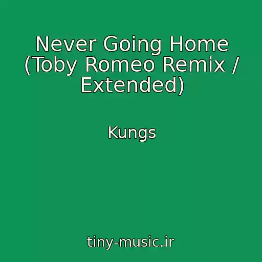 کاور آهنگ Never Going Home (Toby Romeo Remix / Extended) از Kungs