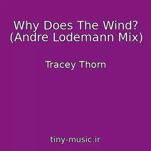کاور آهنگ Why Does The Wind? (Andre Lodemann Mix) از Tracey Thorn