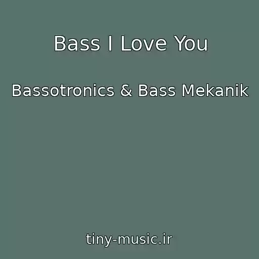 کاور آهنگ Bass I Love You از Bassotronics & Bass Mekanik