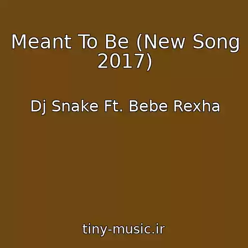 کاور آهنگ Meant To Be (New Song 2017) از Dj Snake Ft. Bebe Rexha