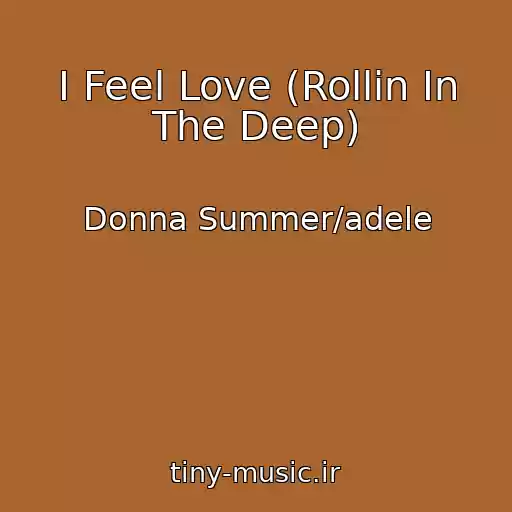 کاور آهنگ I Feel Love (Rollin In The Deep) از Donna Summer/adele