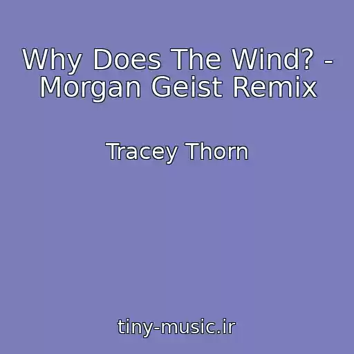 کاور آهنگ Why Does The Wind? - Morgan Geist Remix از Tracey Thorn