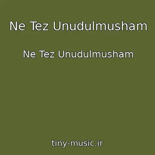 کاور آهنگ Ne Tez Unudulmusham از Ne Tez Unudulmusham